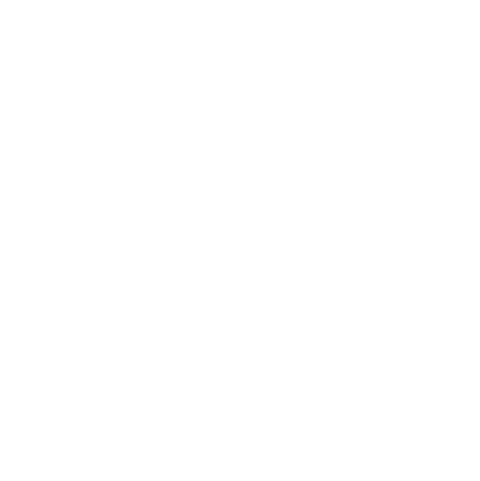 Icon Welt